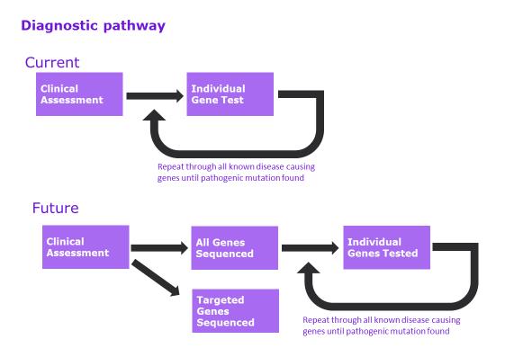 diagnostic pathway.jpg