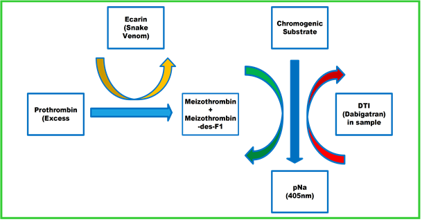 anticoagulation image 2.png