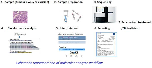 schematic representation website.png